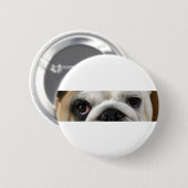 Bulldogg-Augen Button (Vorne & Hinten)