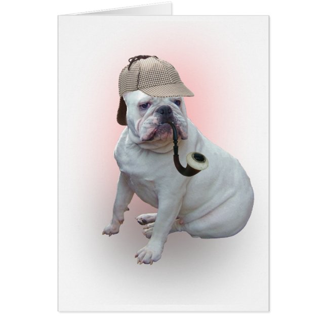 Bulldogge (Vorne)