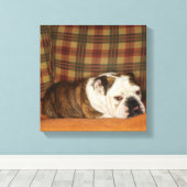 Bulldogge auf einem Sofa Leinwanddruck (Insitu (Holzboden))