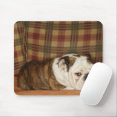 Bulldogge auf einem Sofa Mousepad (Mit Mouse)