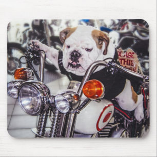 Bulldogge auf Motorrad Mousepad