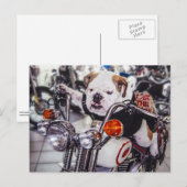 Bulldogge auf Motorrad Postkarte (Vorne/Hinten)