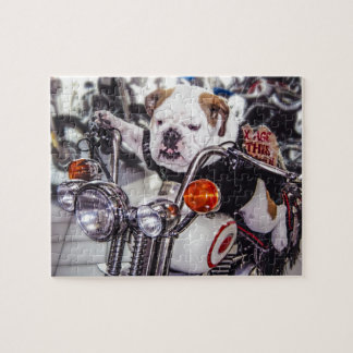 Bulldogge auf Motorrad Puzzle