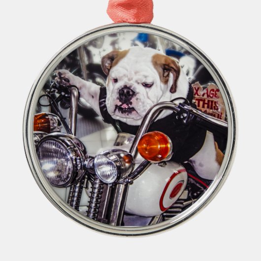 Bulldogge auf Motorrad Silbernes Ornament (Vorne)