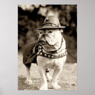 Bulldogge auf Patrouille mit Hut und Kap Poster
