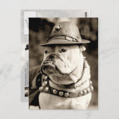 Bulldogge auf Patrouille mit Hut und Kap Postkarte (Vorne/Hinten)