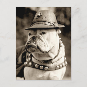 Bulldogge auf Patrouille mit Hut und Kap Postkarte