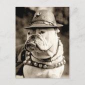 Bulldogge auf Patrouille mit Hut und Kap Postkarte (Vorderseite)