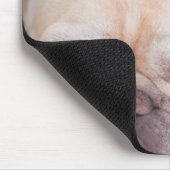 Bulldogge auf Sofa Mousepad (Ecke)