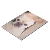 Bulldogge auf Sofa Notizblock (Linke Seite)