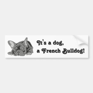 Bulldogge Autoaufkleber