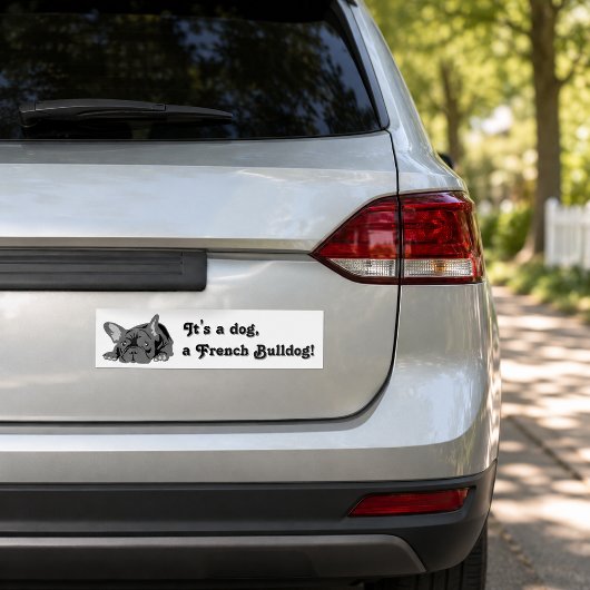 Bulldogge Autoaufkleber