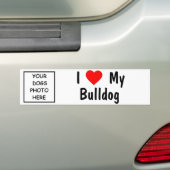 Bulldogge Autoaufkleber (Auf Auto)