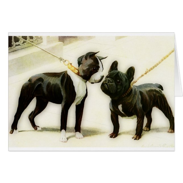 BULLDOGGE BOSTONS TERRIER&FRENCH (Vorderseite (Horizontal))