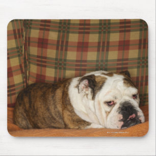 Bulldogge, die auf einem Sofa liegt Mousepad