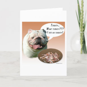 Bulldogge die Türkei Karte