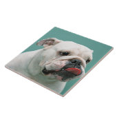 Bulldogge Fliese (Seite)