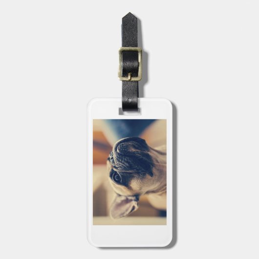 Bulldogge Gepäckanhänger (Vorderseite vertikal)