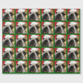 BULLDOGGE GESCHENKPAPIER (Flach)