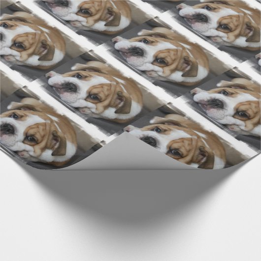 Bulldogge Geschenkpapier (Ecke)
