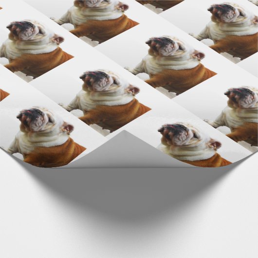 Bulldogge Geschenkpapier (Ecke)