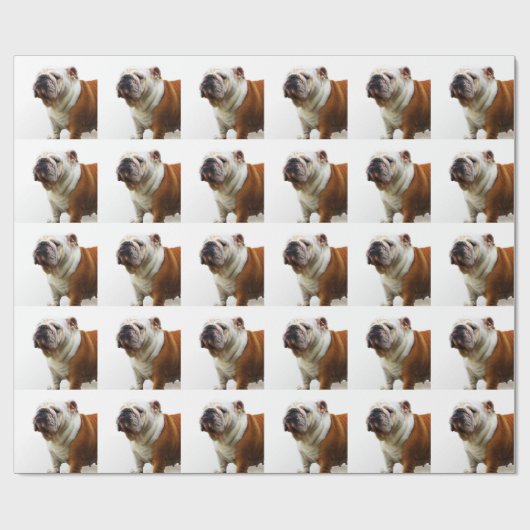 Bulldogge Geschenkpapier (Flach)