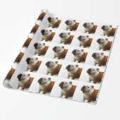 Bulldogge Geschenkpapier (Ungerollt)