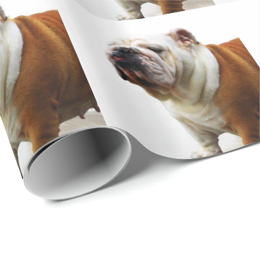 Bulldogge Geschenkpapier (Rolleneckpunkt)