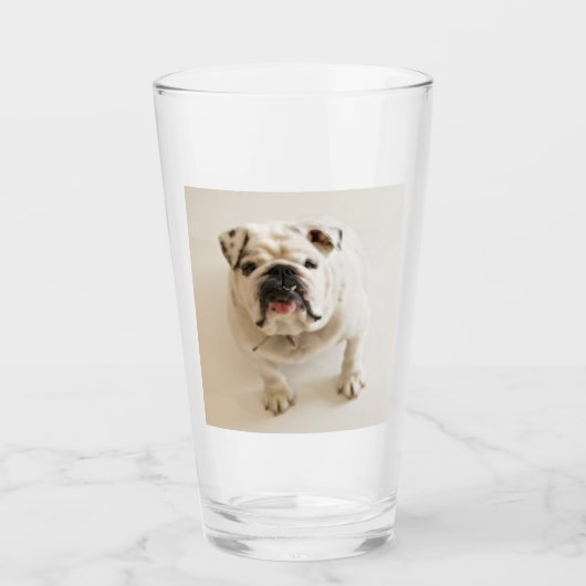 Bulldogge Glas (Vorderseite)