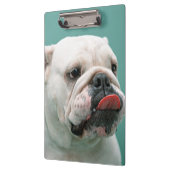 Bulldogge Klemmbrett (Links)