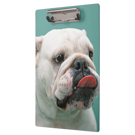 Bulldogge Klemmbrett (Links)