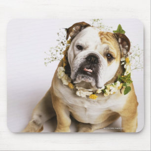 Bulldogge mit Blumenkragen Mousepad