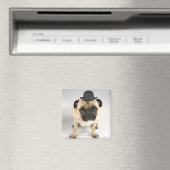Bulldogge mit Bowler, Studioaufnahme Magnet (In Situ (Geschirrspüler))