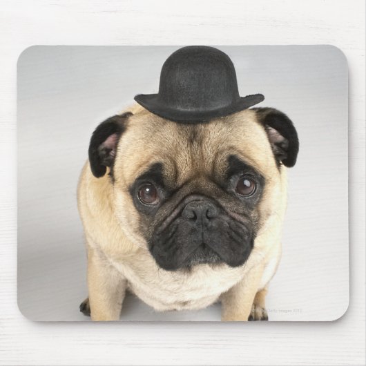 Bulldogge mit Bowler, Studioaufnahme Mousepad (Vorne)