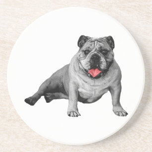 Bulldogge mit Charme und roten Flecken Getränkeuntersetzer