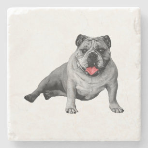 Bulldogge mit rot gesprenkeltem Charme Steinuntersetzer