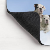 Bulldogge Mousepad (Ecke)