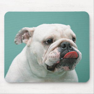 Bulldogge Mousepad