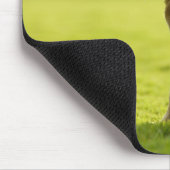 Bulldogge Mousepad (Ecke)