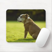 Bulldogge Mousepad (Mit Mouse)