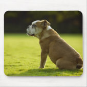 Bulldogge Mousepad (Vorne)