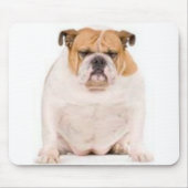 Bulldogge Mousepad (Vorne)