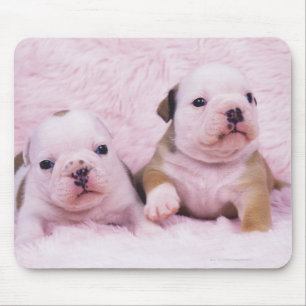 Bulldogge; nannte häufig die englische Bulldogge. Mousepad
