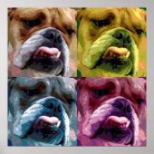Bulldogge Poster (Vorne)