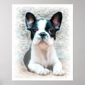 Bulldogge Poster (Vorne)