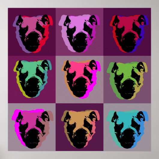 Bulldogge Poster (Vorne)