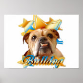 Bulldogge Poster (Vorne)