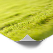 Bulldogge Poster (Ecke)