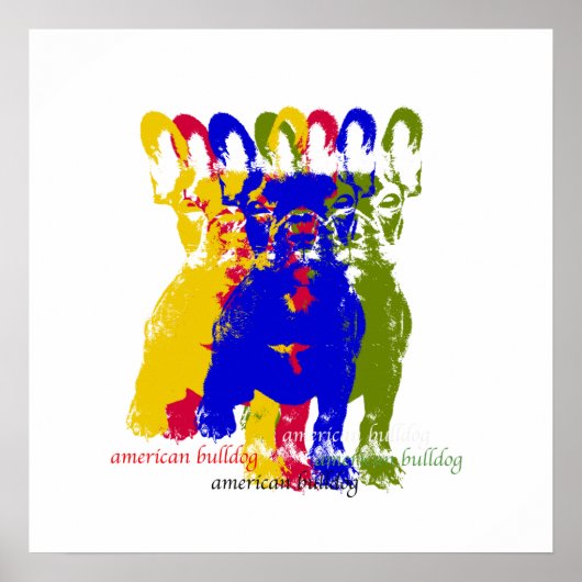 Bulldogge-Poster Poster (Vorne)
