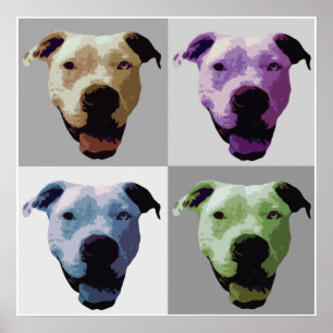 Bulldogge-Poster Poster